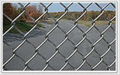 chain link fence