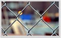 chain link fence  2