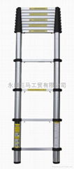 telescopic ladder