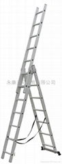 extention ladder