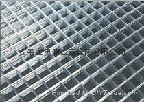 welded wire mesh 