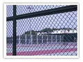 chain link fence