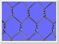 hexagonal wire