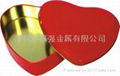 heart-shape case