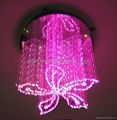 LED fiber Optic Chandelier