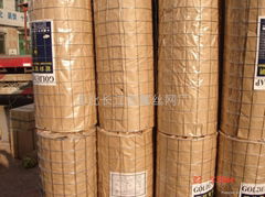 stainless steel welded wire mesh