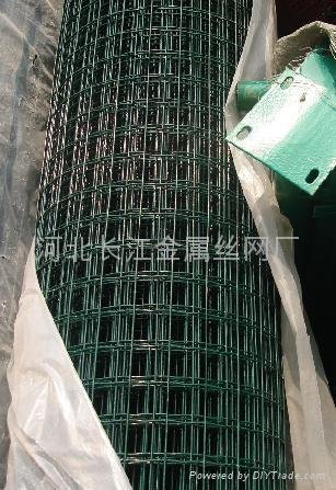 stainless steel welded wire mesh 2