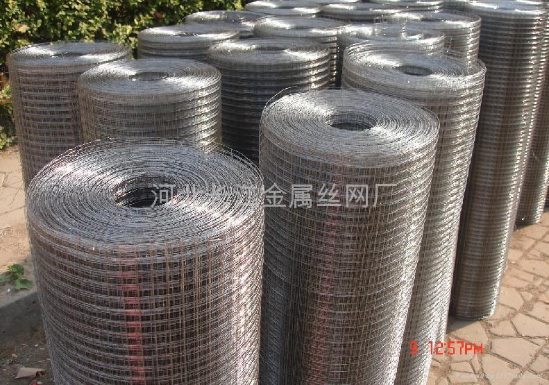 stainless steel welded wire mesh 3