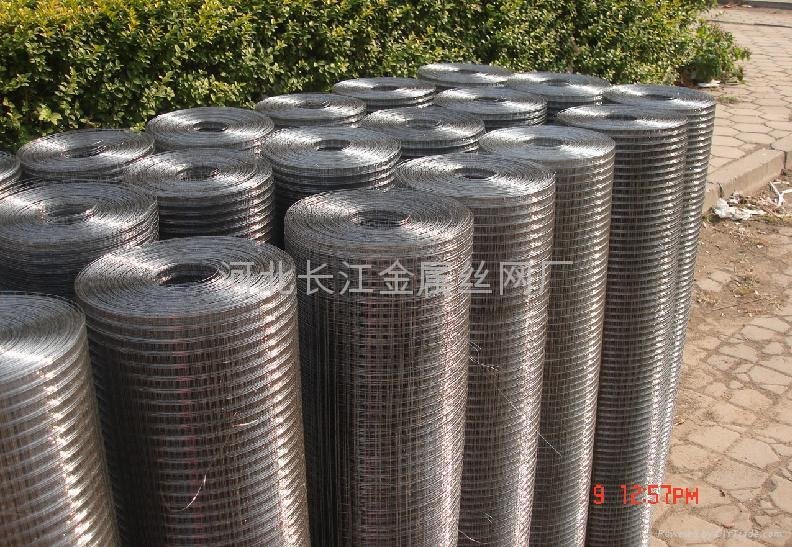 stainless steel welded wire mesh 4