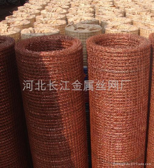 stainless steel welded wire mesh 5