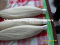 white horse tail hair 5