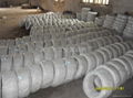 electric galvanized wire 3