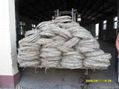 electric galvanized wire 5