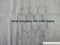 hexagonal wire netting 1