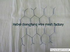 hexagonal wire netting