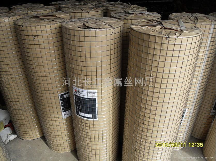 galvanized welded wire mesh 3