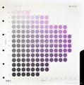 Color Standard Album of China 2