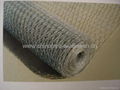 Hexagonal wire mesh