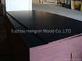 Black film faced plywood