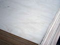 Birch plywood for furniture 1