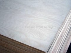 Birch plywood for furniture