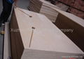 Birch plywood for furniture 2