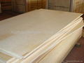 Birch plywood for furniture 3