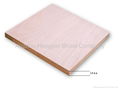 Okoume marine plywood for boat 2