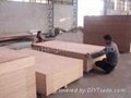 Every kind of plywood 2