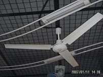 ceiling fan