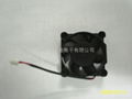 Switches cooling fan4020 1