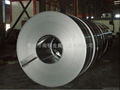 Cold rolled steel coil 