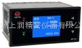 WP-C801-00-12-N数字显示仪 2