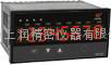 WP-C801-00-12-N数字显示仪 4
