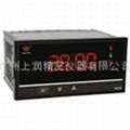 WP-C403-02-12-HL-P-T数显表 1