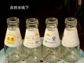 milk bottle (glass) / Dairy bottle
