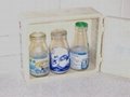milk bottle (glass) / Dairy bottle (different models) 3