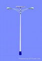 Solar Street Light (Double Fixtures)  2