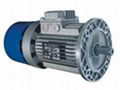 AC Brake Motor