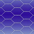 hexagonal wire netting/chicken wire