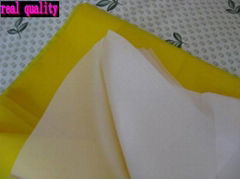 Polyester Screen Printing Mesh 