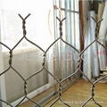 Electro Galvanized Hexagonal Iron Wire Netting 