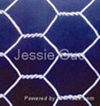 Galvanized Hexagonal Wire Netting