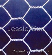 Galvanized Hexagonal Wire Netting 