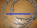 Galvanized Bebed Wire 2.4mm 15cm barbed