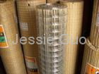 Galvanized Welded Wire Mesh 