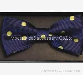 silk bow tie 2