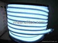 LED Neon Flex 2