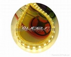 Waterproof 120LED 3528 Flexible LED Strip