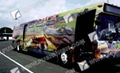 Vehicle Wrap